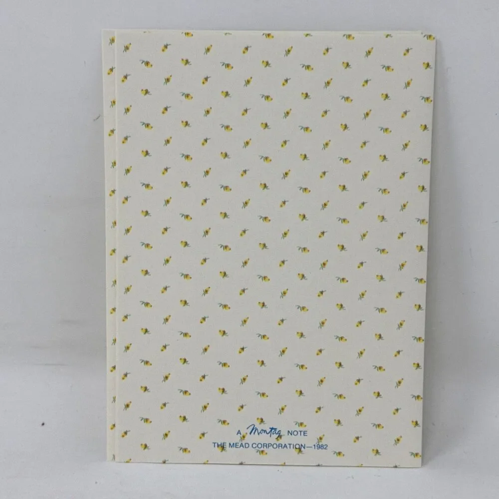 Montag Sittin Pretty Critter Sitters Stationery Raccoons Partial Box VTG 80s Lot